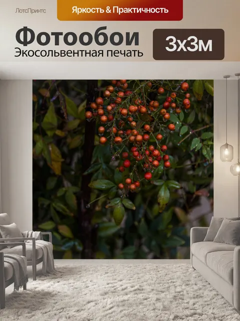 Фотообои После вертикального фона дождя