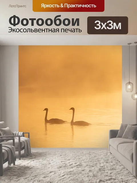 Фотообои Лебеди на озере мисти