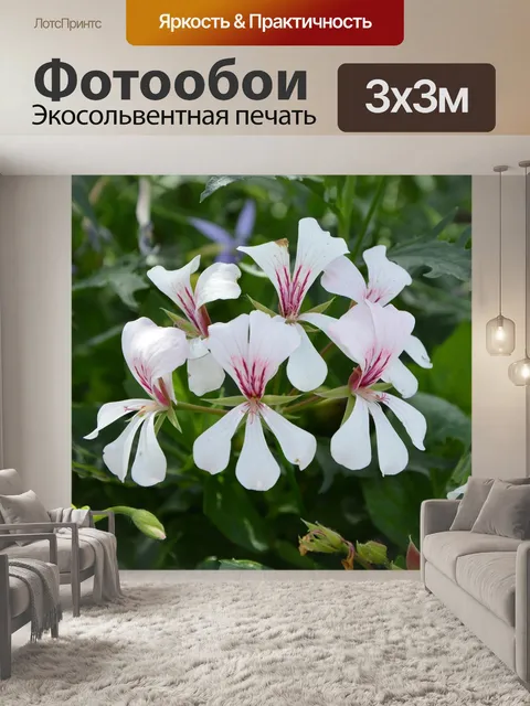Фотообои Белые цветы