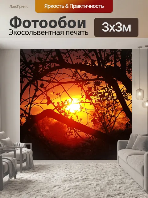 Фотообои Ветки
