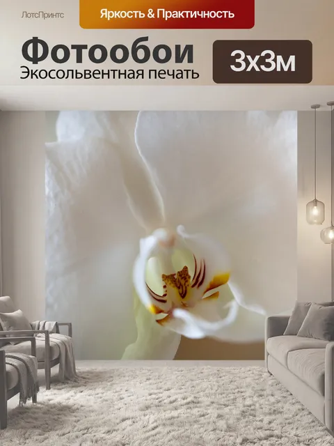 Фотообои Орхидея
