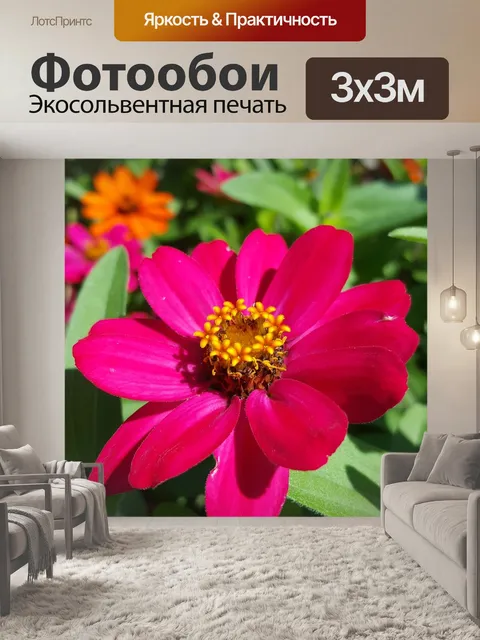 Фотообои Цветы