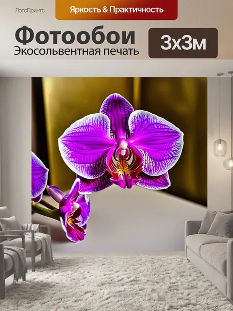 Фотообои орхидея с синевато-фиолетовыми цветами, стоящая на столе с золотыми акцентами