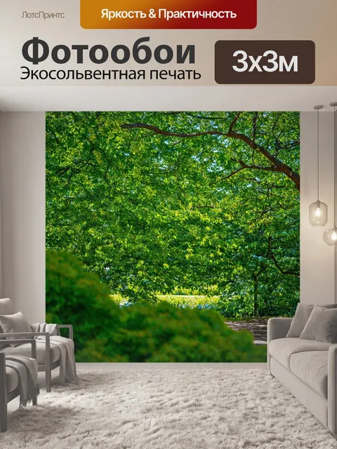Фотообои летние зелени и деревья