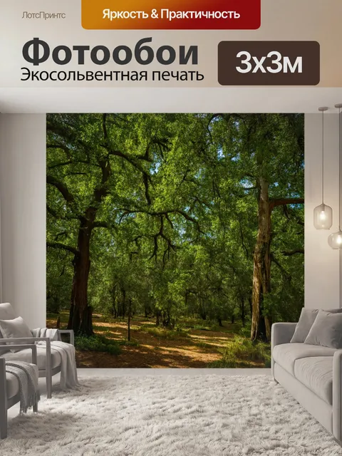 Фотообои лесной массив с величественными дубами, окруженный звуками природы