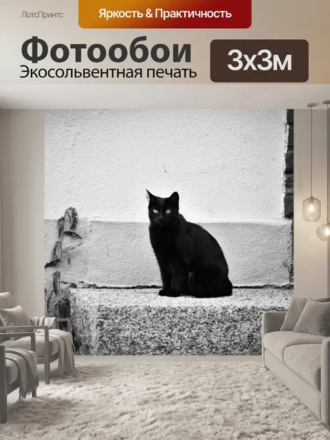 Фотообои Черная кошка