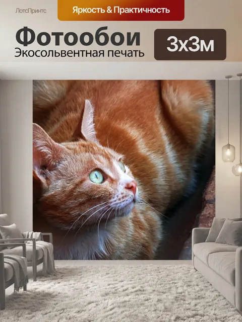Фотообои взгляд рыжего кота с зелеными глазами