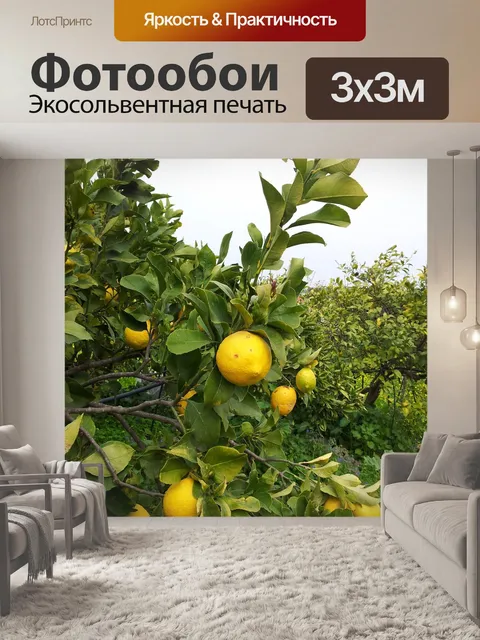 Фотообои Лимон