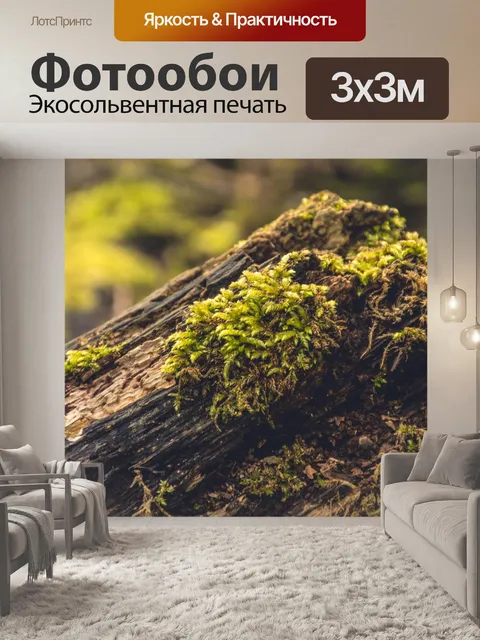 Фотообои Природа
