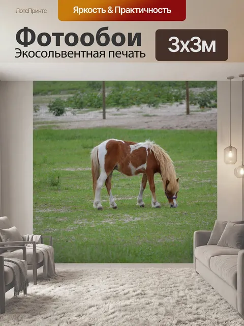Фотообои Краска Little Pony