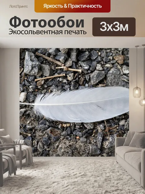 Фотообои Птица