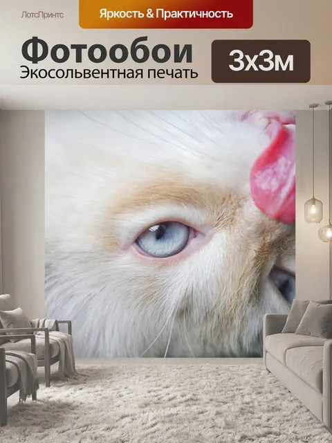 Фотообои Белый кот