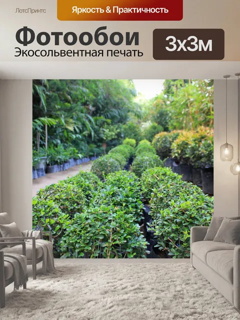 Фотообои Внутри Green House