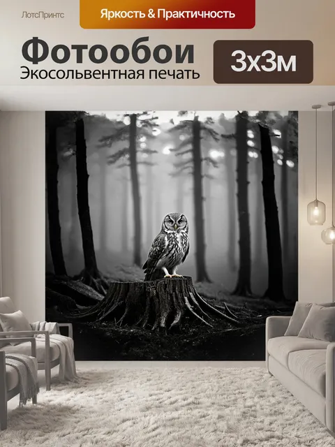 Фотообои в туманном, dawnovém лесу, сова сидит на пне, ее перья окутаны мягким, серым туманом, фотография в…