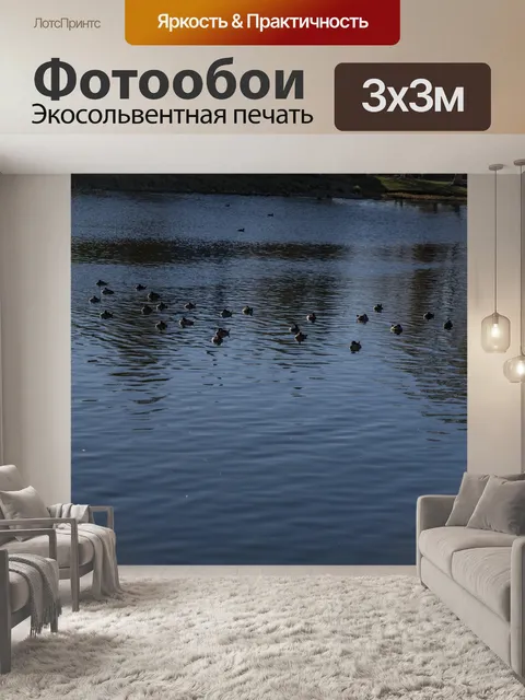 Фотообои Птицы на воде