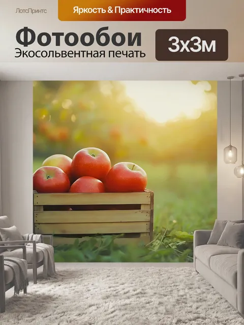 Фотообои Осень, сад, сбор даров природы