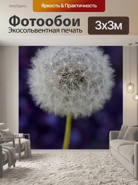 Фотообои Одуванчик