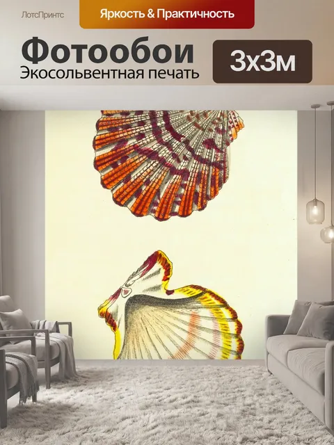 Фотообои Ракушка старинное искусство старый