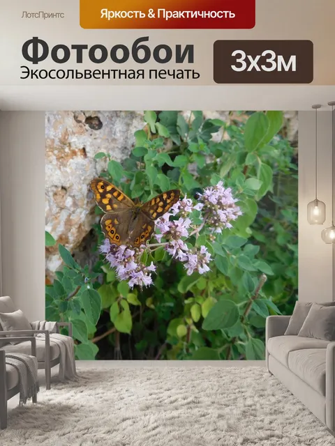 Фотообои Бабочка