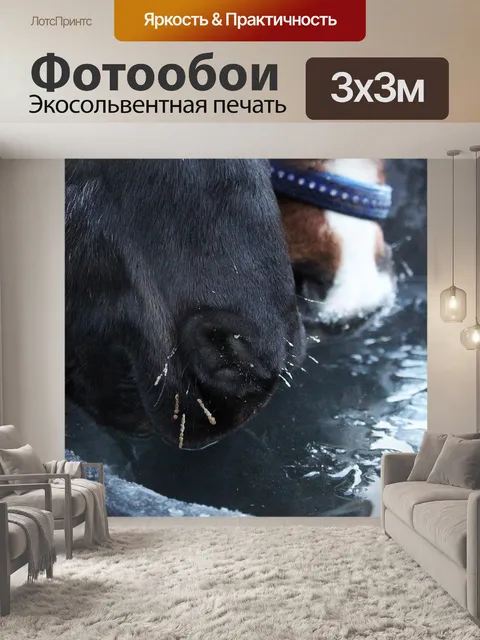 Фотообои Лошадь