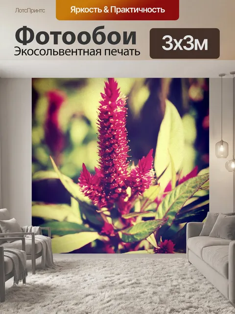 Фотообои Красивый цветок