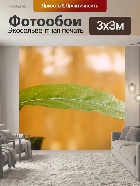 Фотообои Муравей