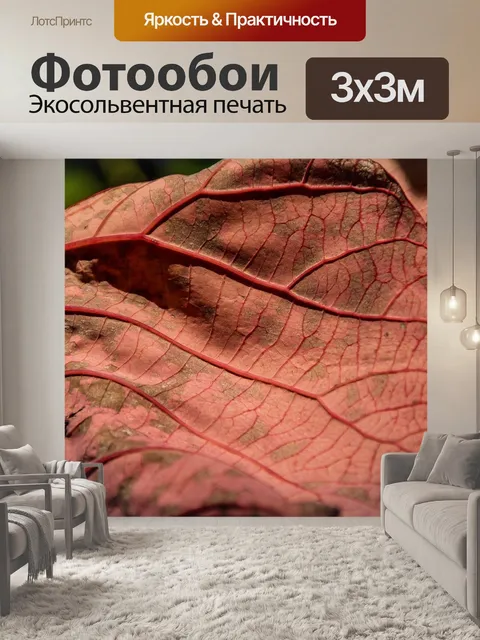 Фотообои Лист
