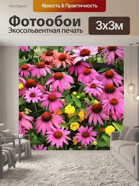 Фотообои Розовые цветы Coneflowers и Lantana 2