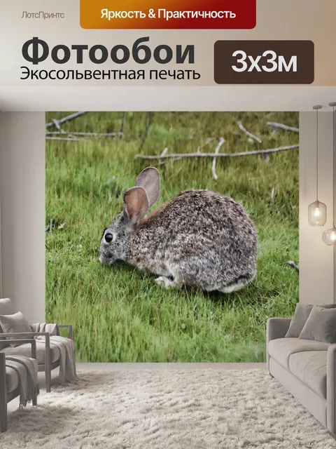 Фотообои Кролик