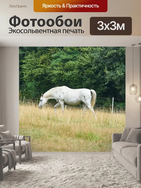 Фотообои Лошадь в полях