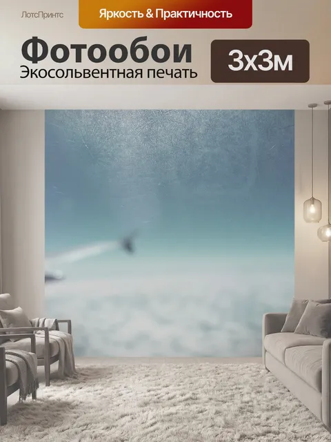 Фотообои Матовое окно