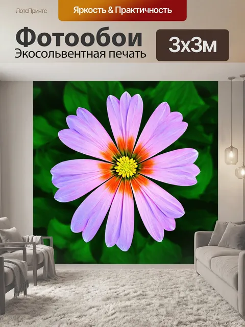 Фотообои цветы в стиле диаграммный рисунок