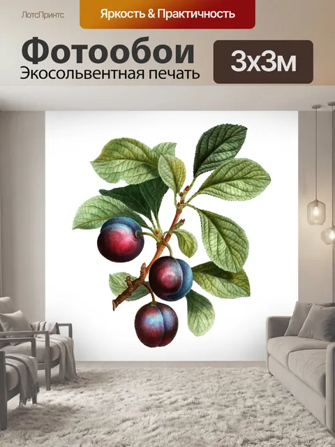 Фотообои Сливы марочные