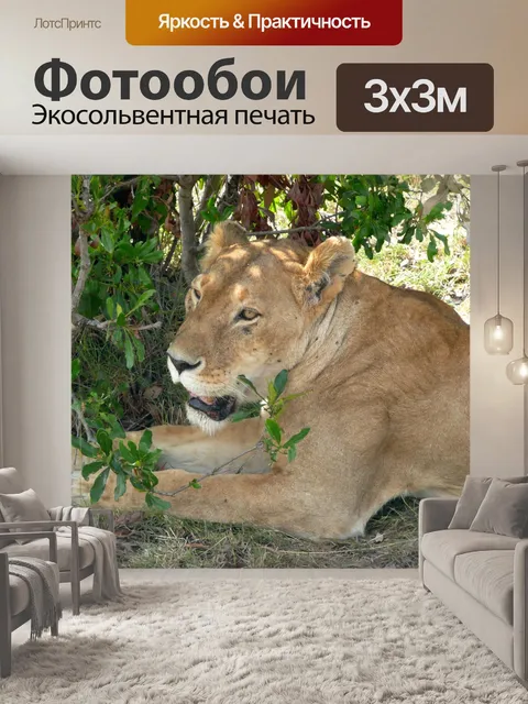 Фотообои Лев