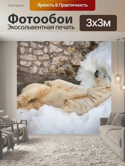 Фотообои Медведь