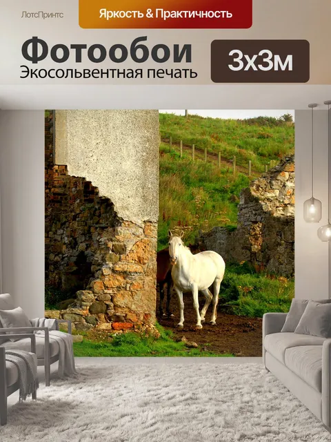Фотообои Камень