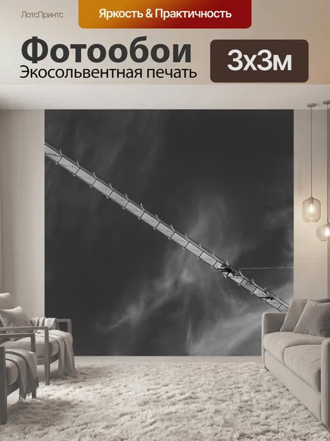 Фотообои Черное и белое