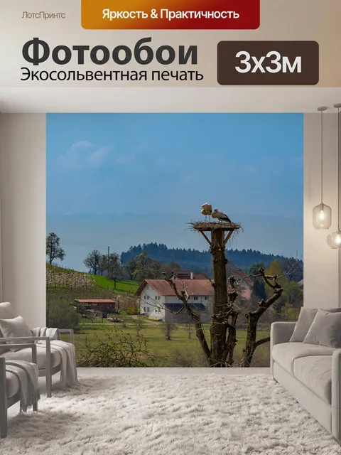 Фотообои Животное