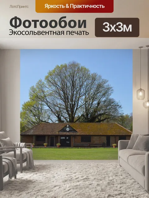Фотообои Дерево