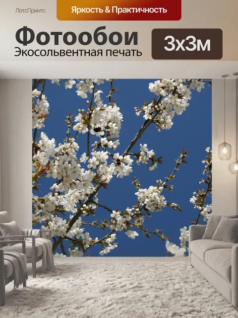 Фотообои Вишня