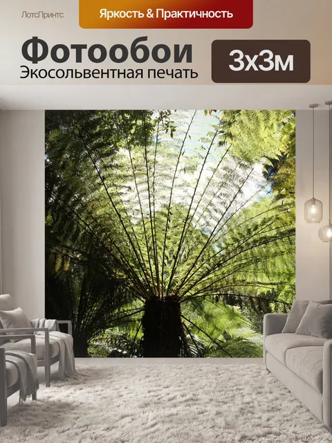 Фотообои Гигантский папоротник