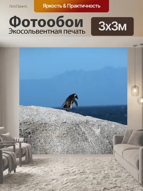 Фотообои Животное
