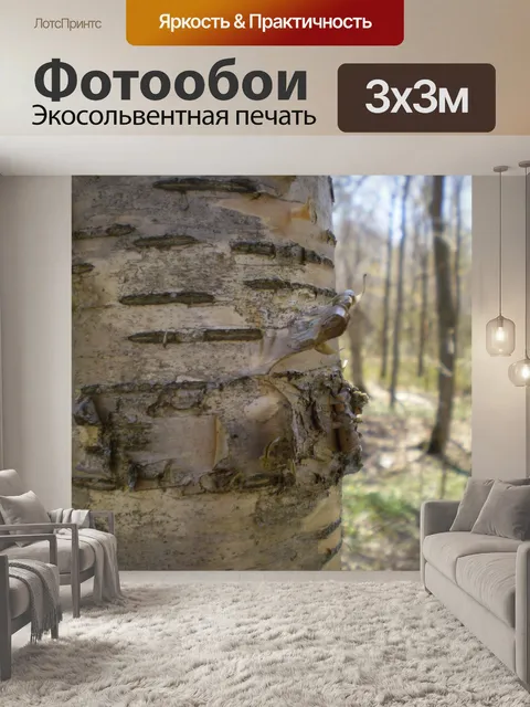 Фотообои Желтая береза