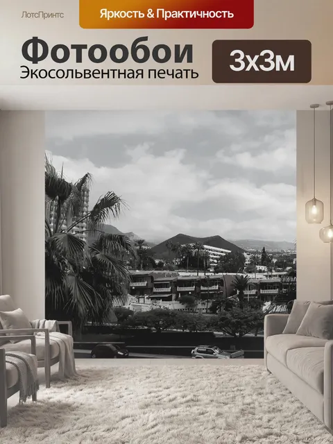 Фотообои Черно-белое изображение Пейзаж