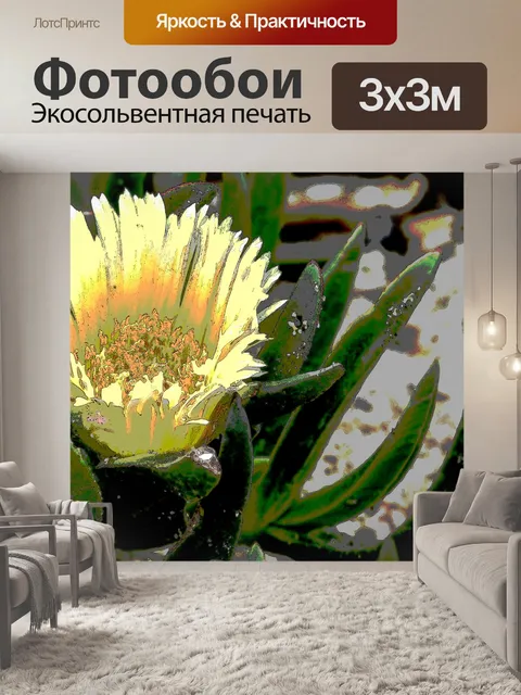 Фотообои Желтый цветок ледяного растения