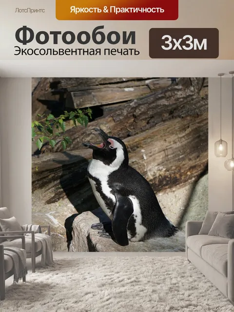 Фотообои Пингвин