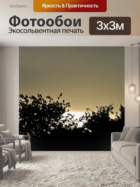 Фотообои мягкий небо над деревьями