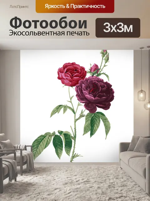 Фотообои Красные розы Акварельная живопись