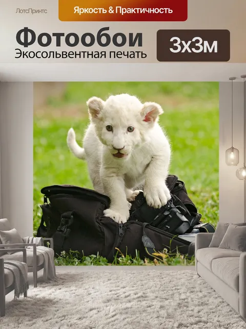 Фотообои Лев белый