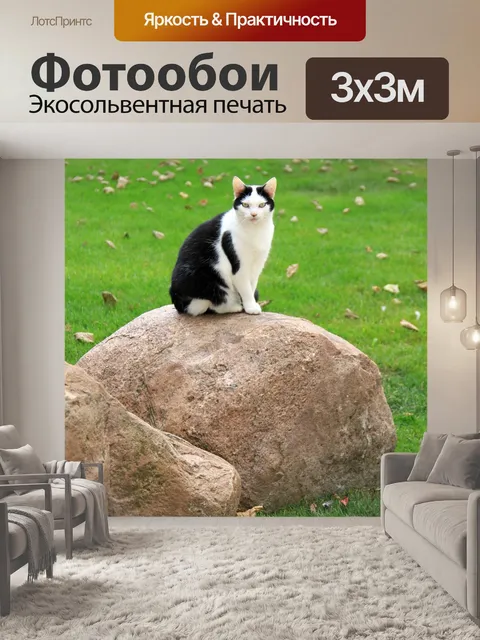 Фотообои Животное